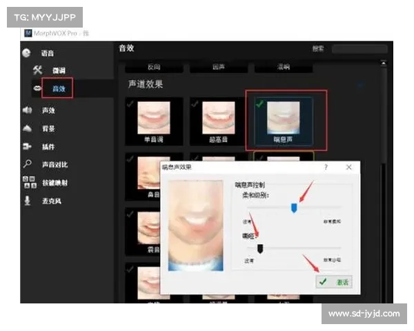 MorphVox Pro实用技巧大揭秘 MorphVox Pro实用技巧大揭秘