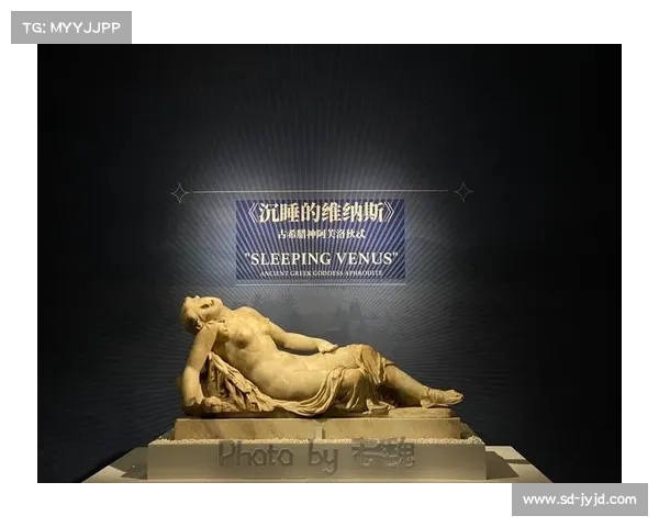 命运与自由的博弈：《暗影狂奔归来》中的抉择与抗争