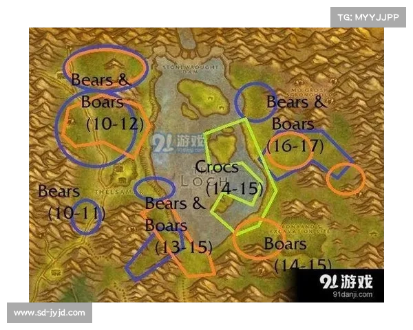 魔兽世界中如何掌握英雄集结技巧提升团队战斗效率与胜率