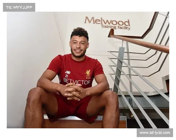 张伯伦在足球场上主要司职位置解析与作用深度解读